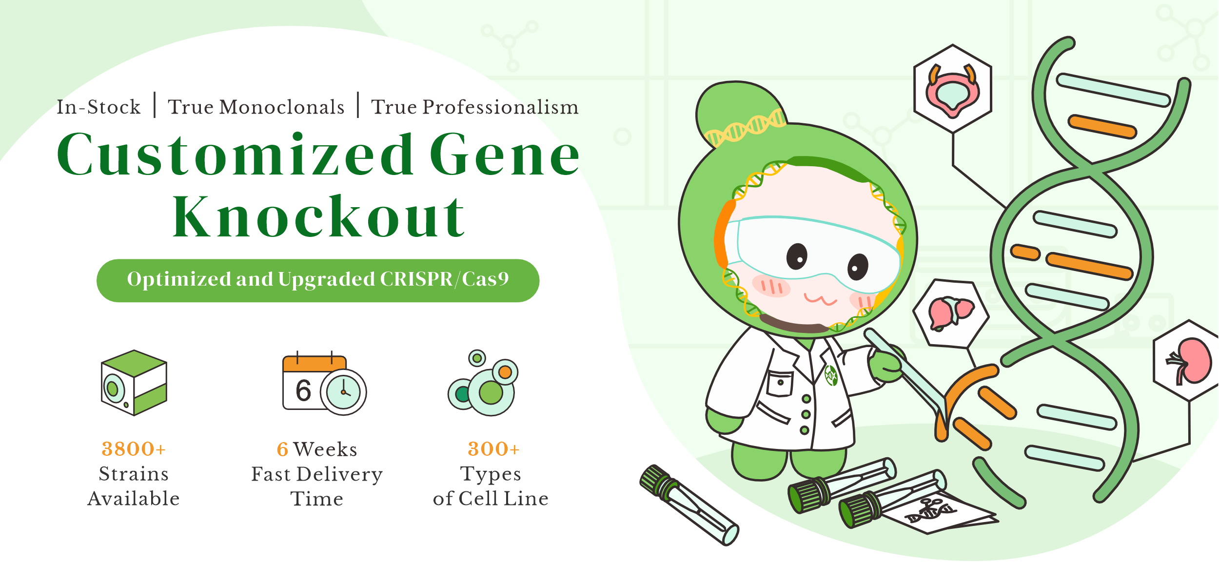 Knockout Cell Line